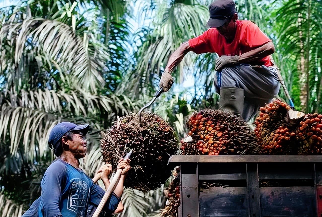终止与华合作，千亿订单送给美国却遭无视，印尼只得自食苦果