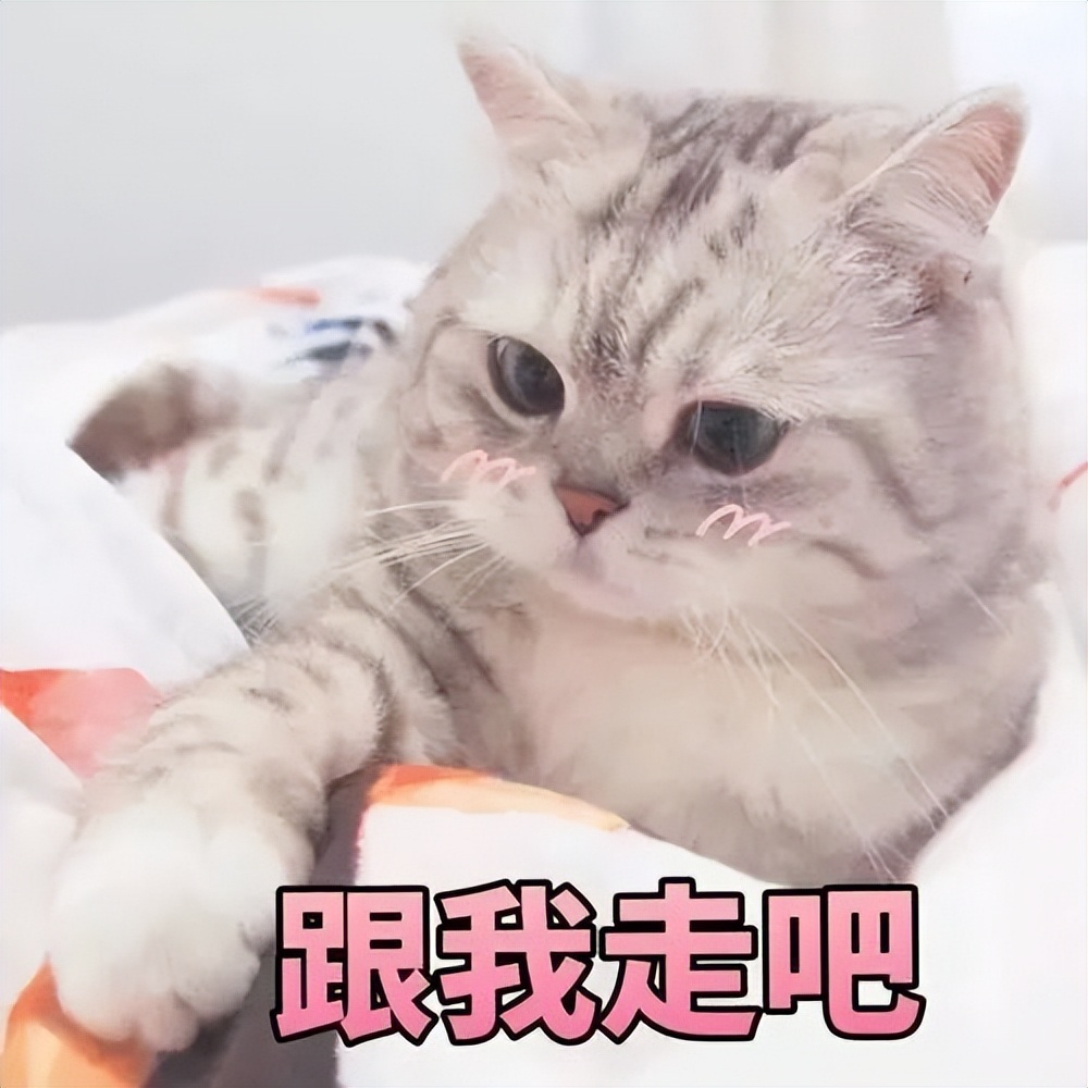 郑州哪个地方最适合春游,3月春游好去处郑州