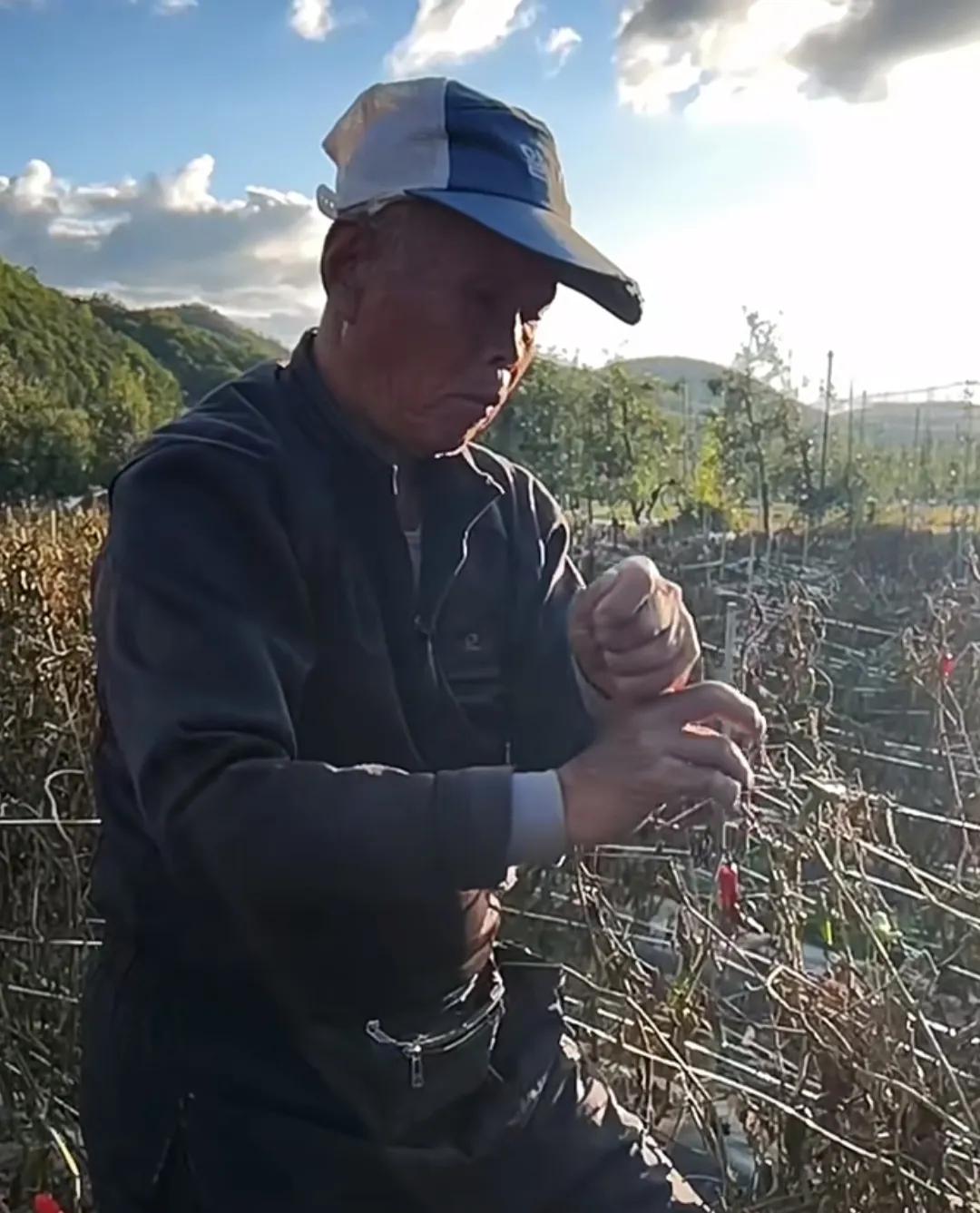 山东姑娘远嫁日本农村,山东姑娘远嫁大山的生活