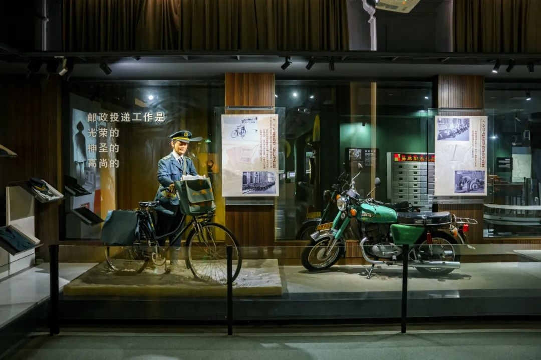 魔都自然博物馆,魔都的博物馆真的很有看头