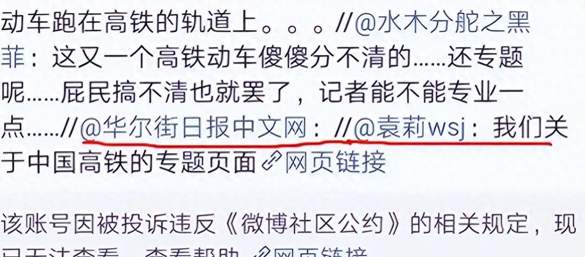 袁莉的狂妄行径：揭秘她如何成为全球闻名的丑角