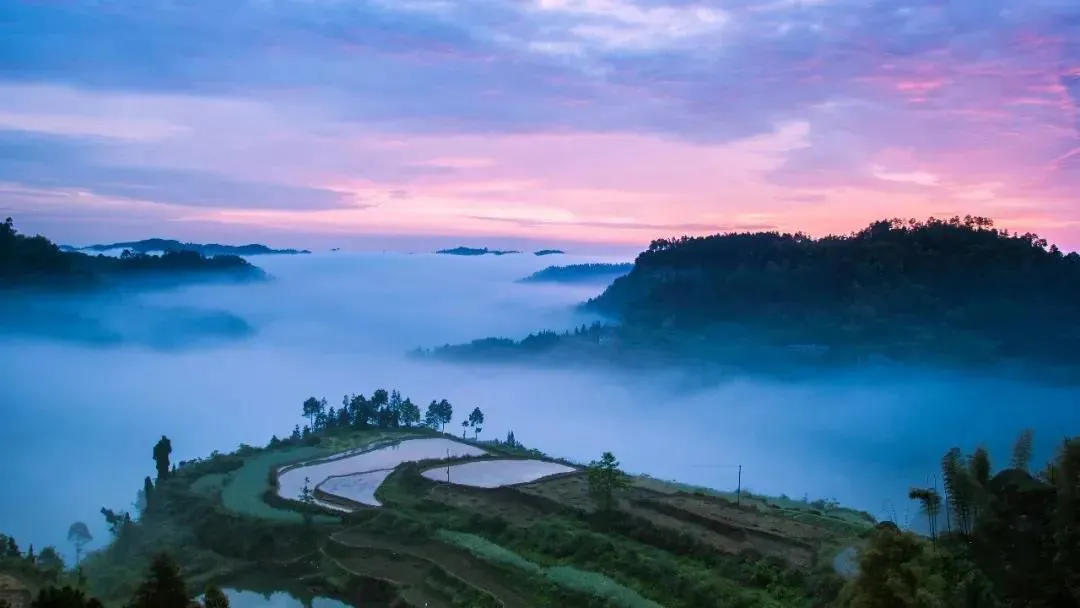 内江绿茵青训,内江足球青训俱乐部