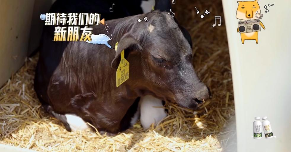 get鏄庢槦鍚屾杞﹀瀷,get鏄庢槦鍚屾鐜╂硶