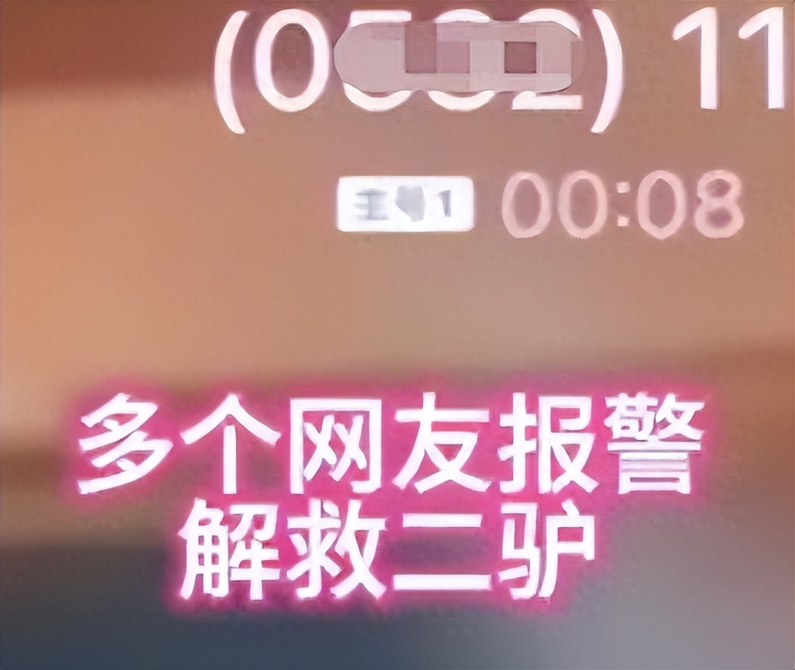 网红二驴最新事件,网红二驴为啥被封了