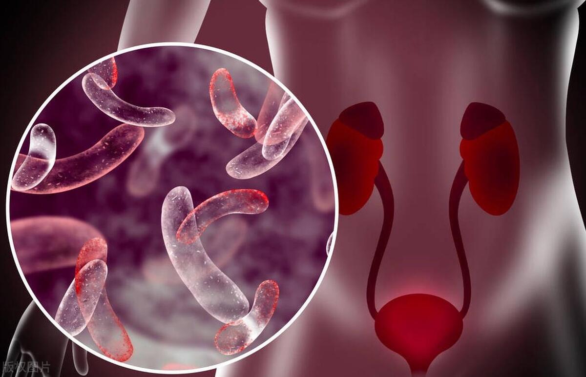 健康无小事养生要重视,忽视健康对于生活的危害