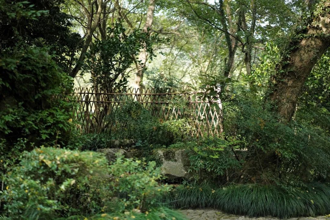 探秘顶级豪华酒店,杭州法云安缦酒店价格