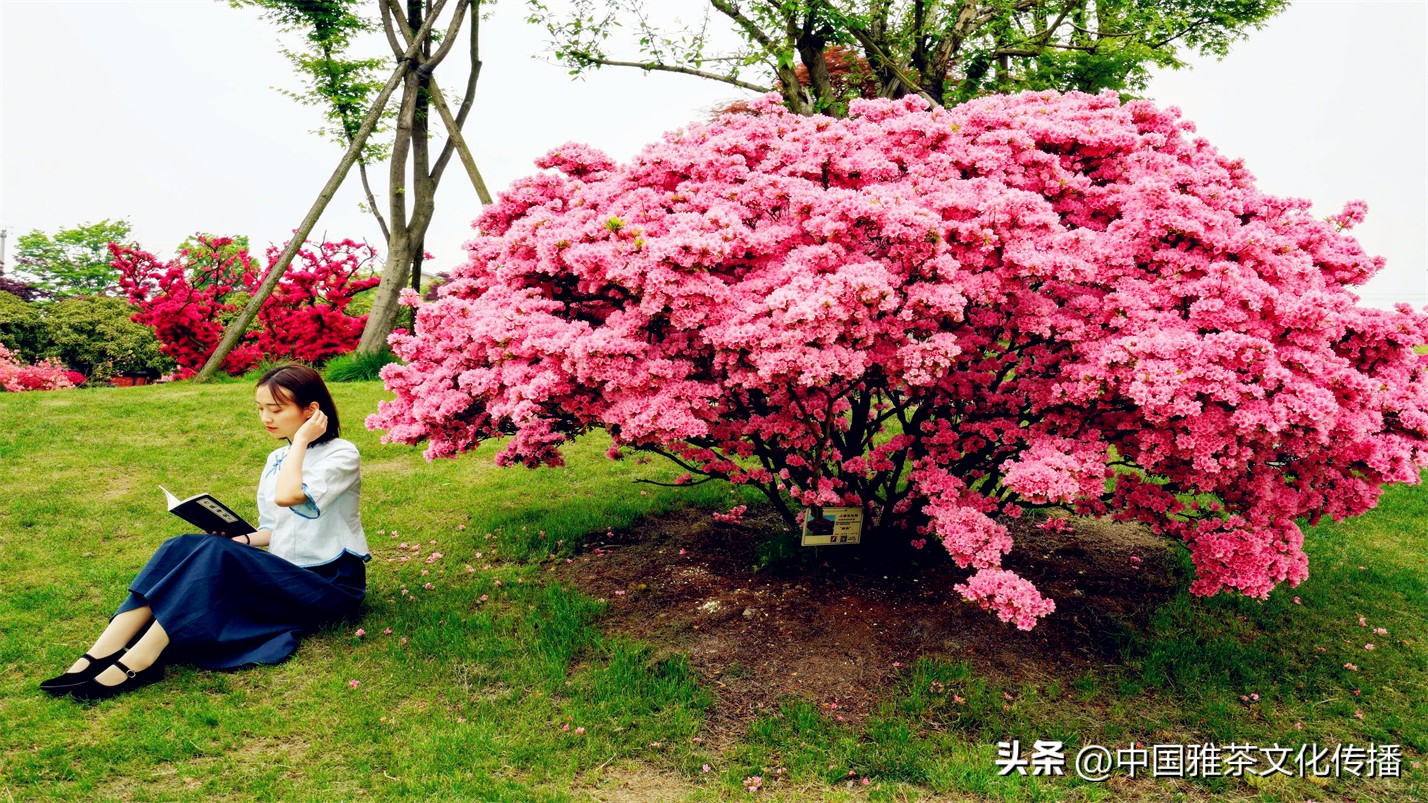 阡陌红尘岁月荏苒,阡陌红尘经典语录