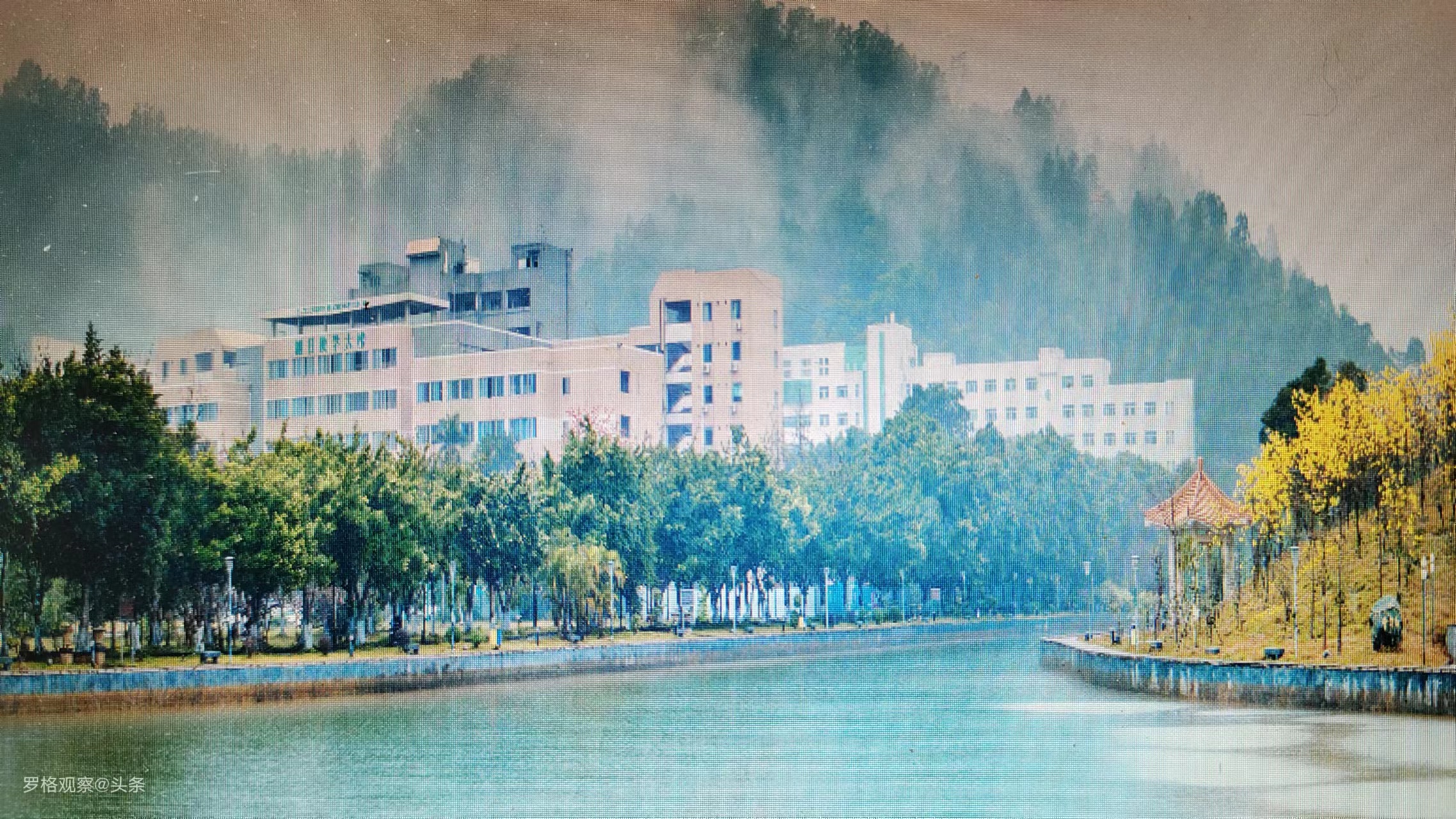 第7所惠州学院│从毕业生信息看惠州学院热门专业有哪些