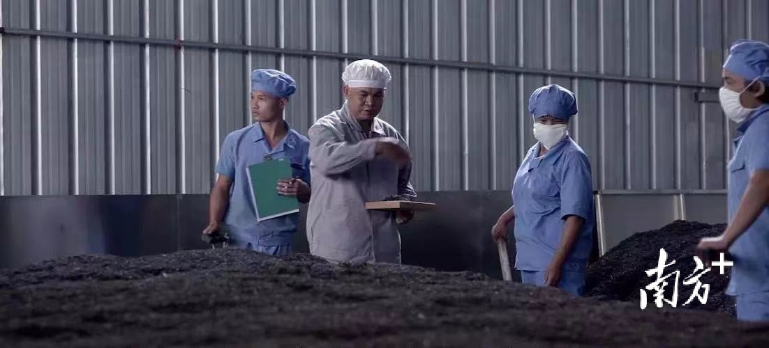 圣源茶业：槟榔陈香醇厚回甘，“侨销茶”勇闯茶王称号｜中国十大茶王参评茶企巡礼,130