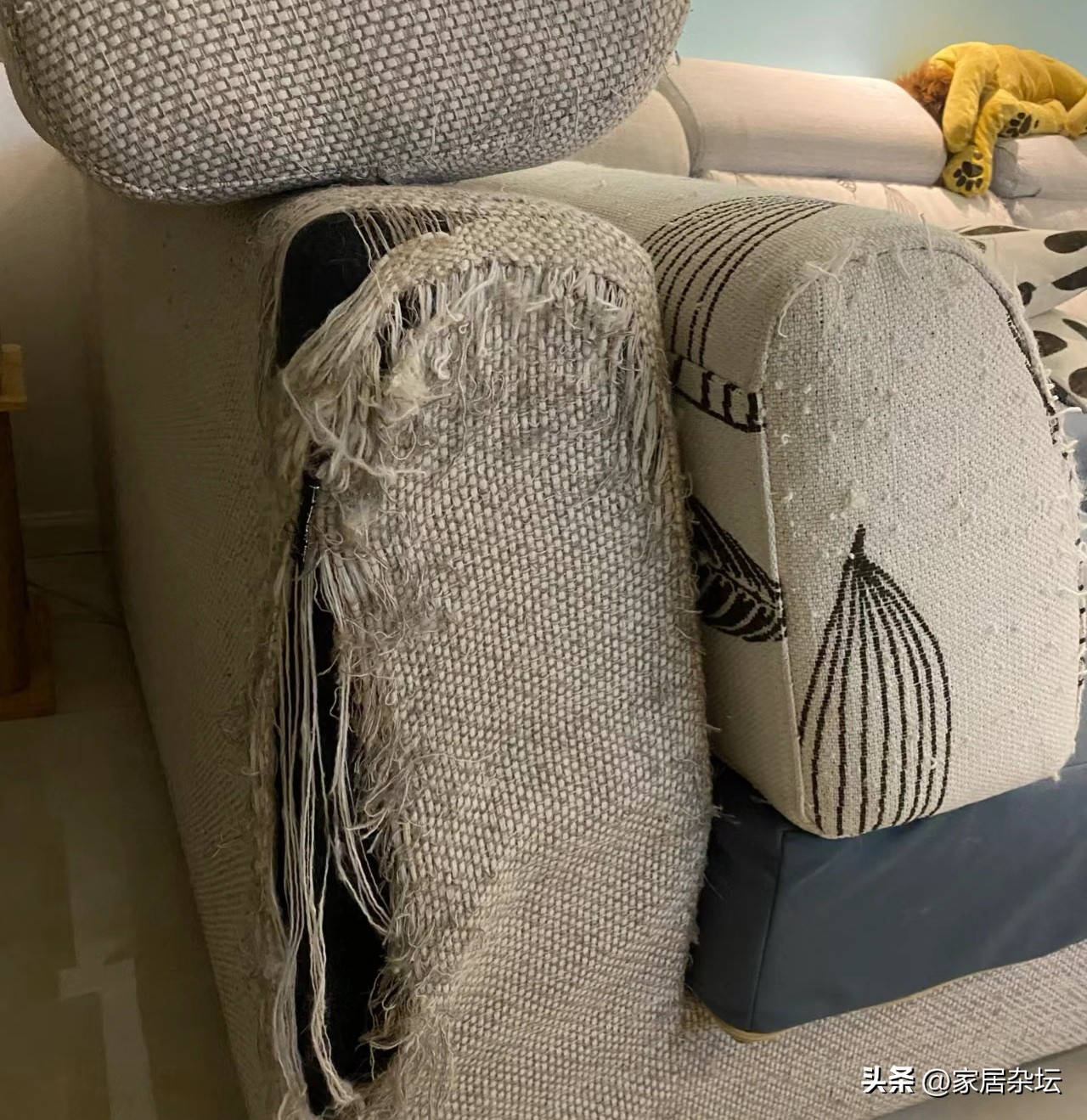 这五种沙发再便宜也别买,不要贪图便宜这5种沙发不要买