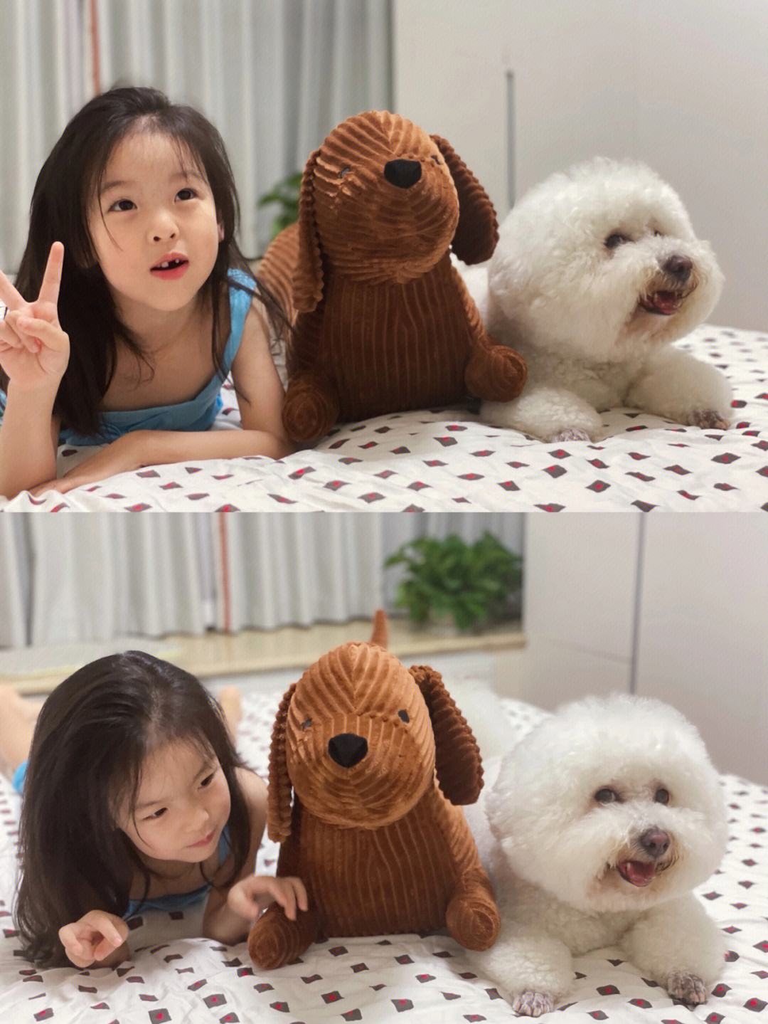 家里有小孩的适合养什么品种狗狗,最适合有小孩家庭养的狗狗