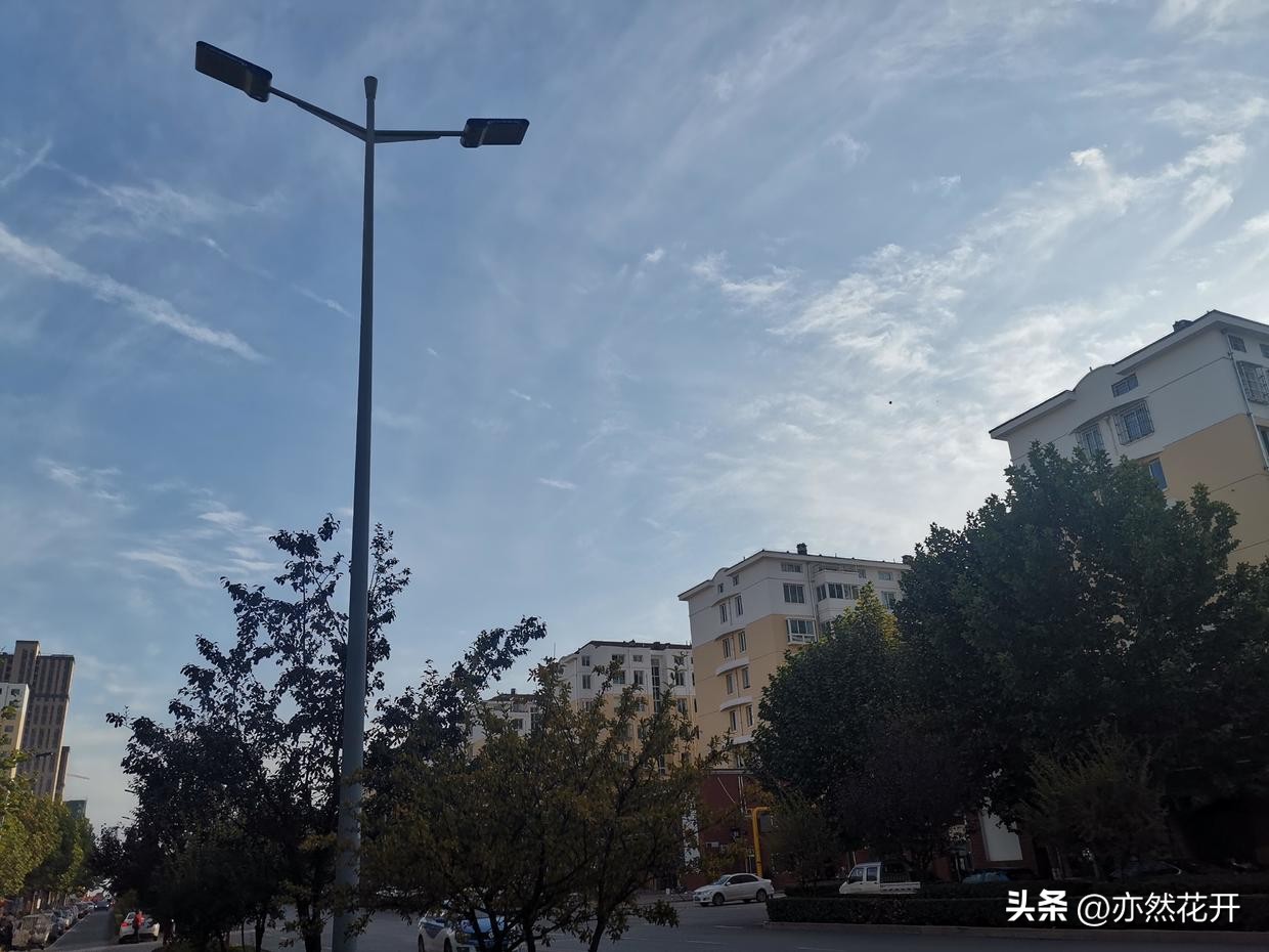 职场上报告怎么写范文,职场申请书的正确格式