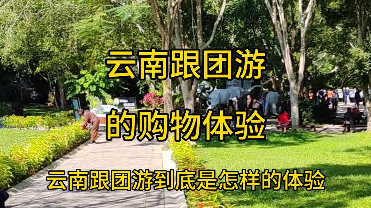 云南跟团购物都有哪些地方,云南旅游跟团购物店