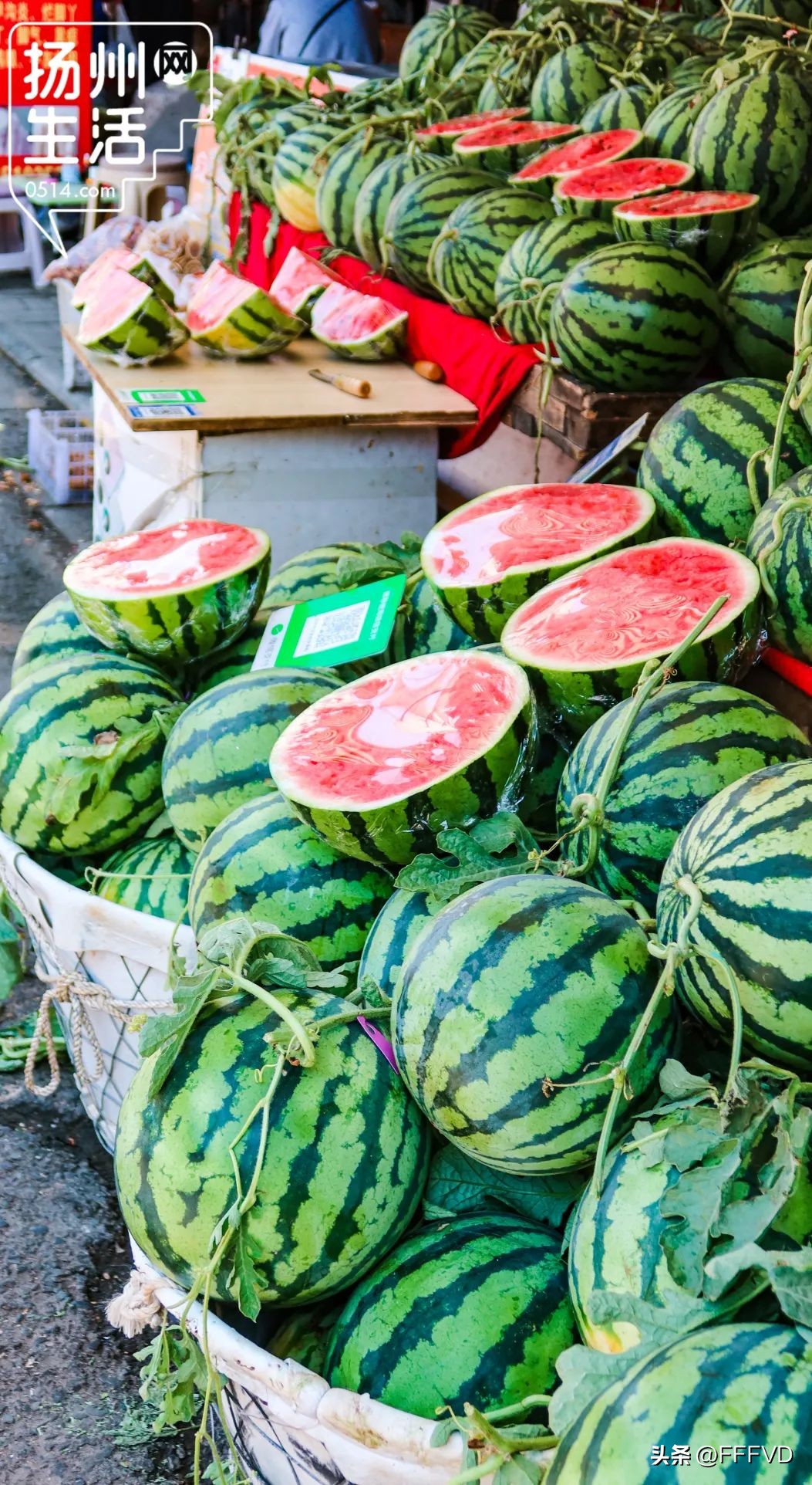 逛扬州菜市场,扬州最有烟火气息的菜场