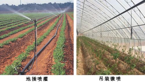 可移动式微喷系统,便携式水肥一体机报价