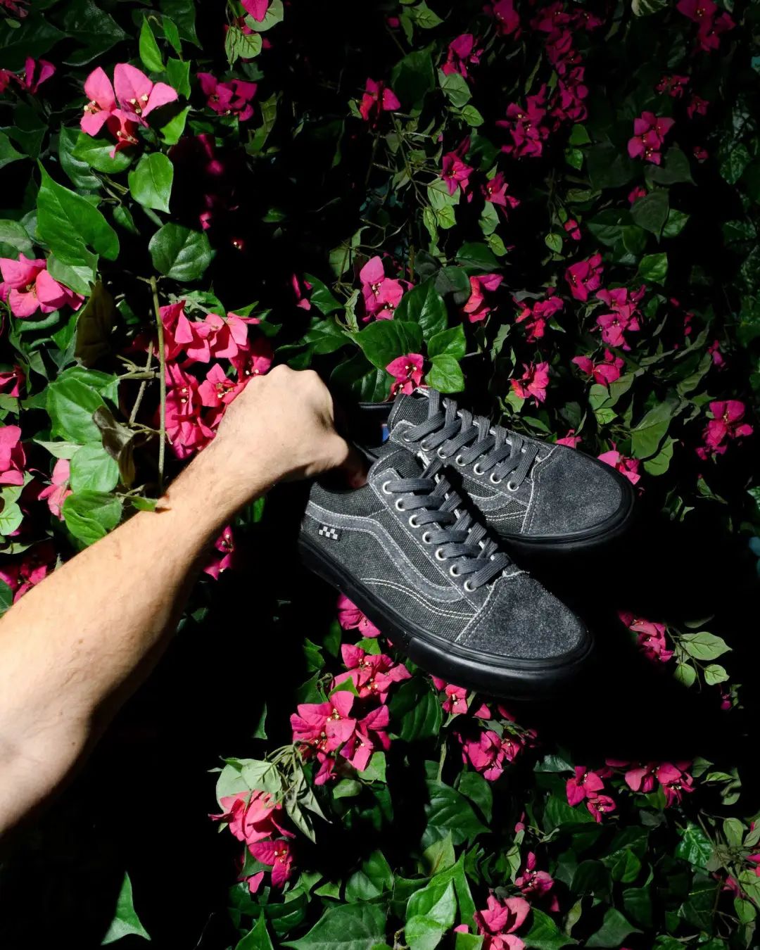 vans新款2023联名,vans2023联名系列