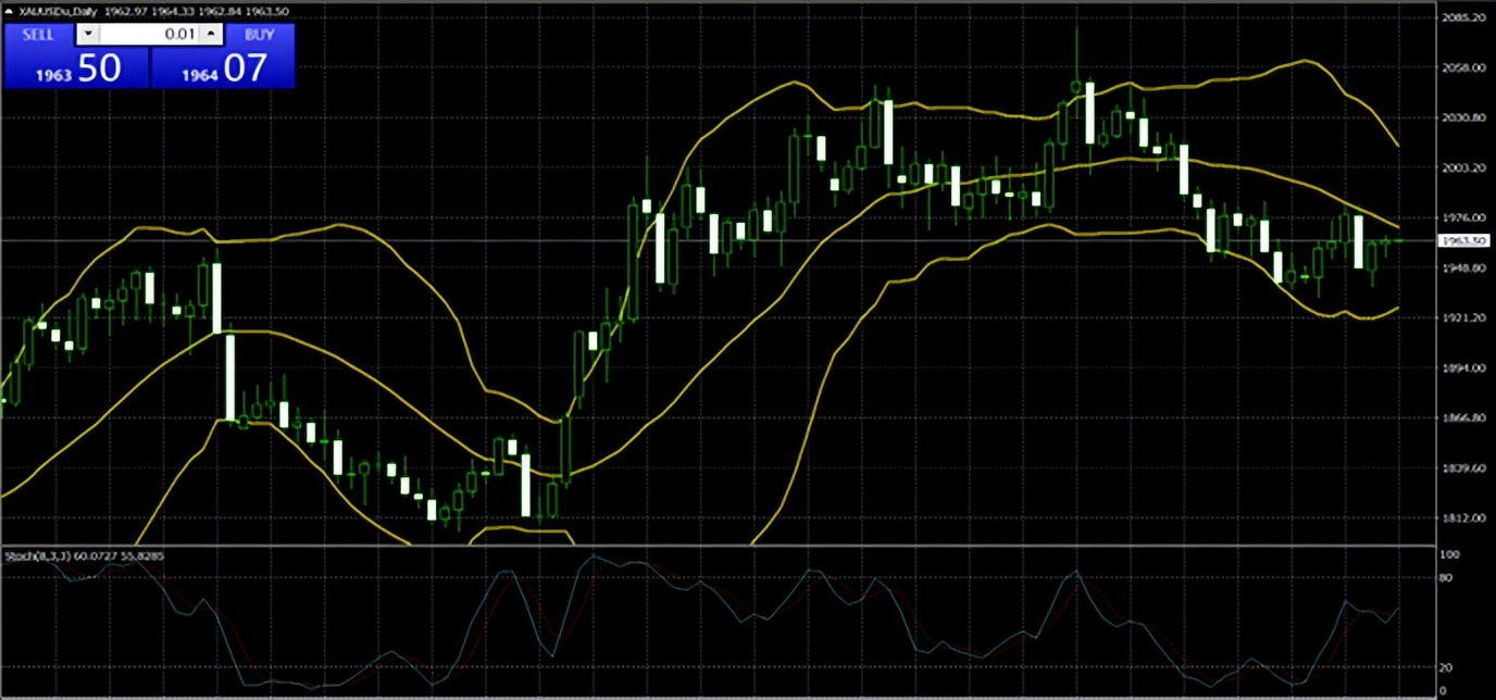第一金2022比赛回放,第一金2021