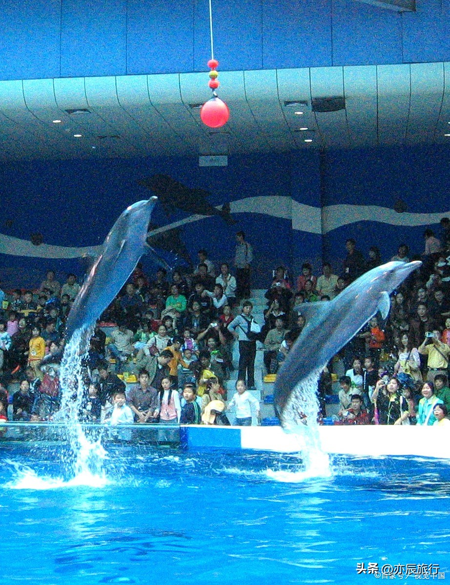 长沙旅游攻略附近旅游景点,长沙周边旅游十大必去景区有哪些