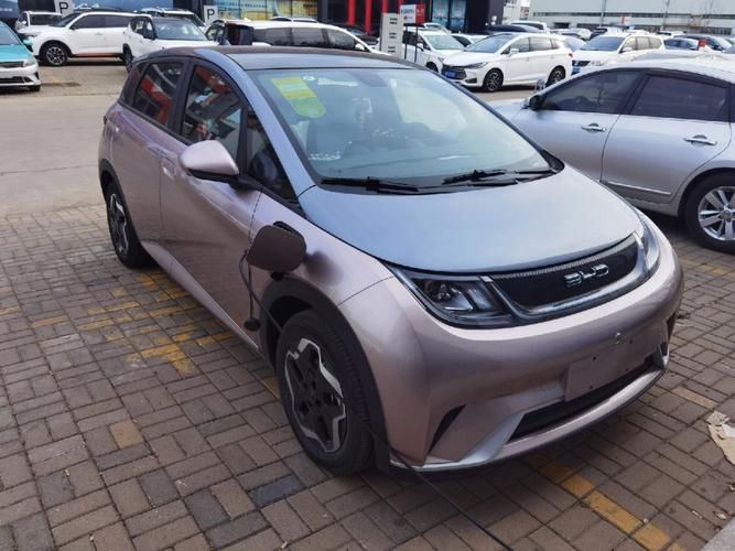 比亚迪海豚汽车冬天试驾,比亚迪纯电新车海豚体验