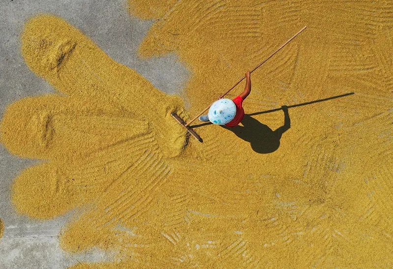 希望有更多的惠农政策,从农民眼中看惠农政策