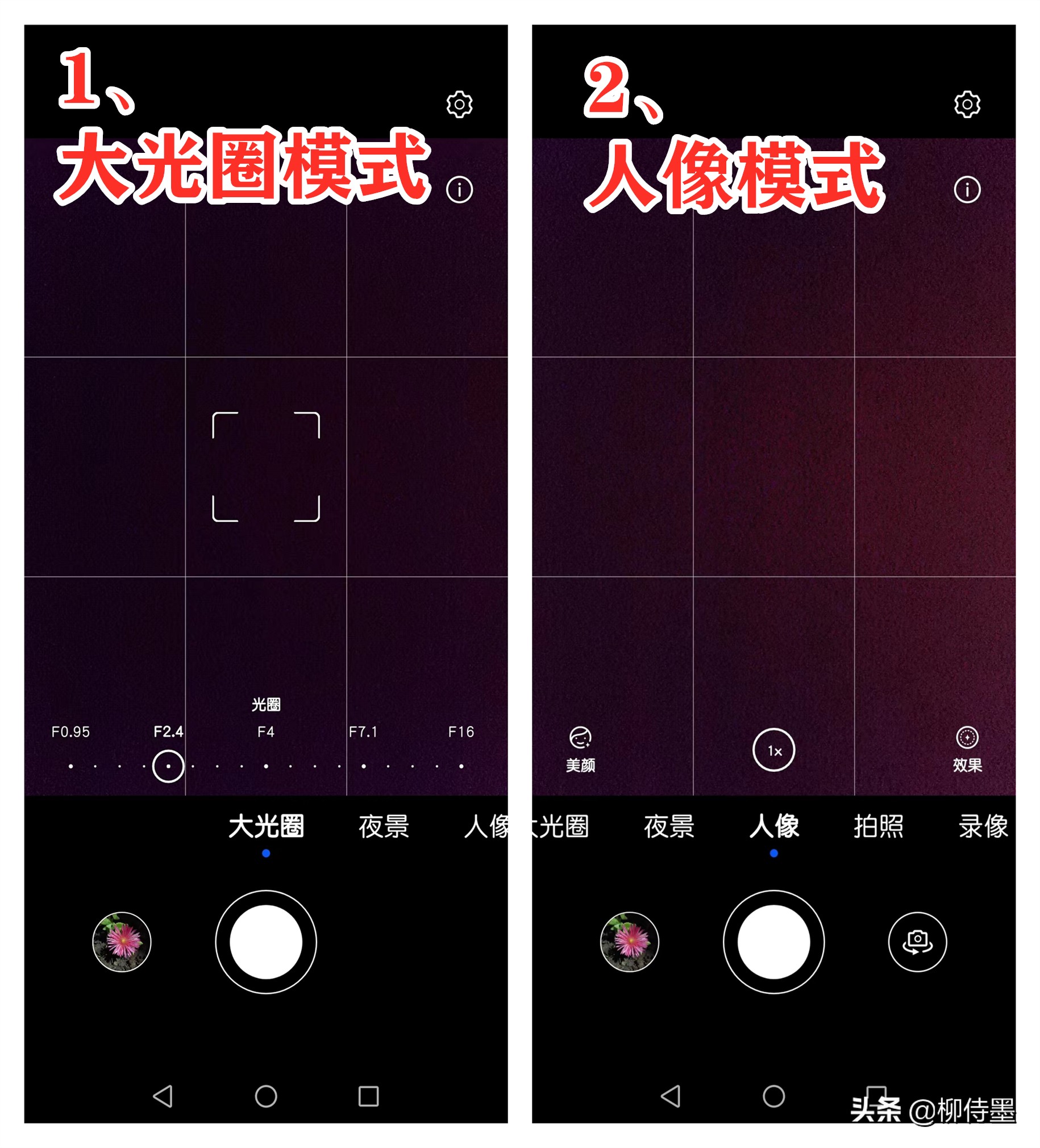 荷花摄影技巧和方法,荷花怎么拍出高级感的照片