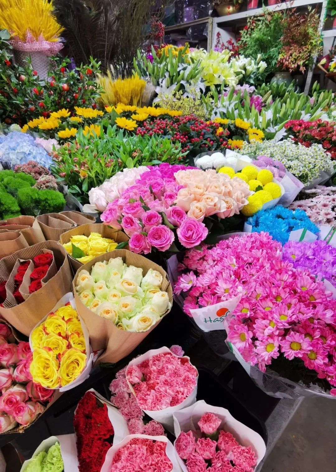 济南必去的打卡地,济南必去的十大打卡地