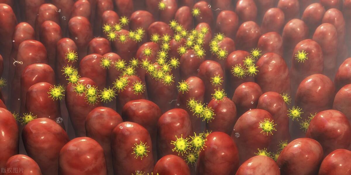 什么是老年性阴道炎症状有哪些,老年性阴道炎有什么症状怎么预防