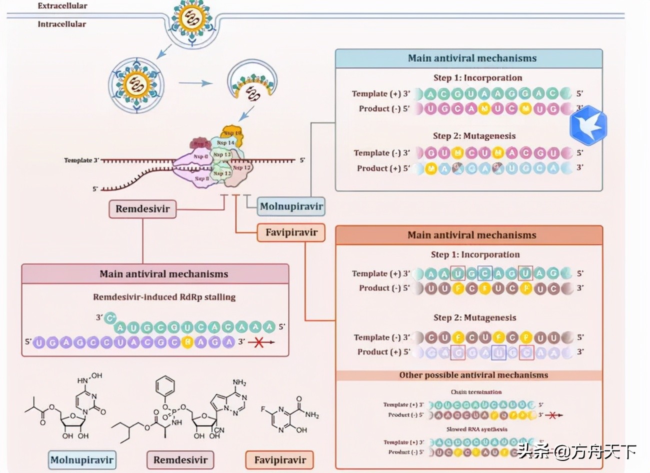 加拿大研究出治疗新冠药物,好消息国产新冠特效药