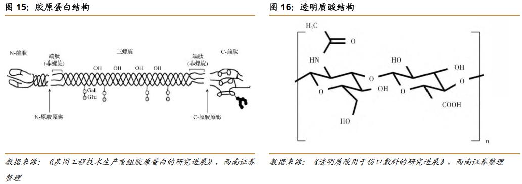 热门护肤品原料有哪些,胶原蛋白千亿品牌是什么成分