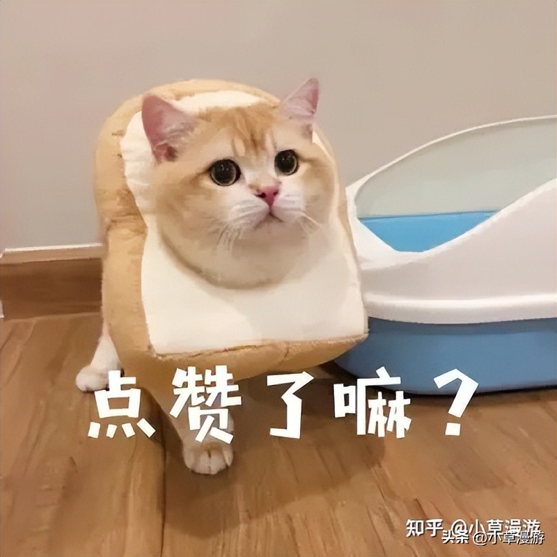 成都旅游攻略自由行攻略详细,最详细成都旅游攻略