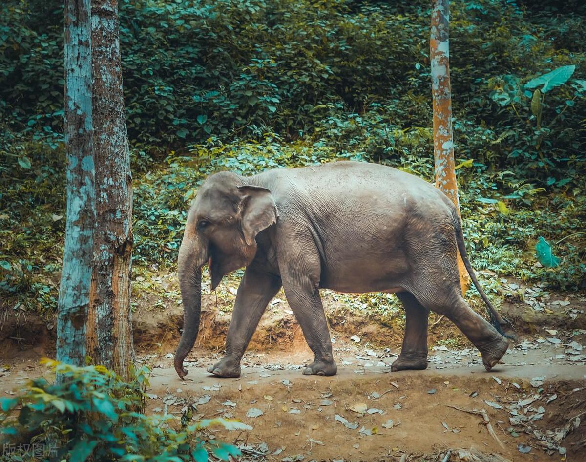 夏季旅游推荐3-4天游,夏天旅游攻略国内推荐3到4天
