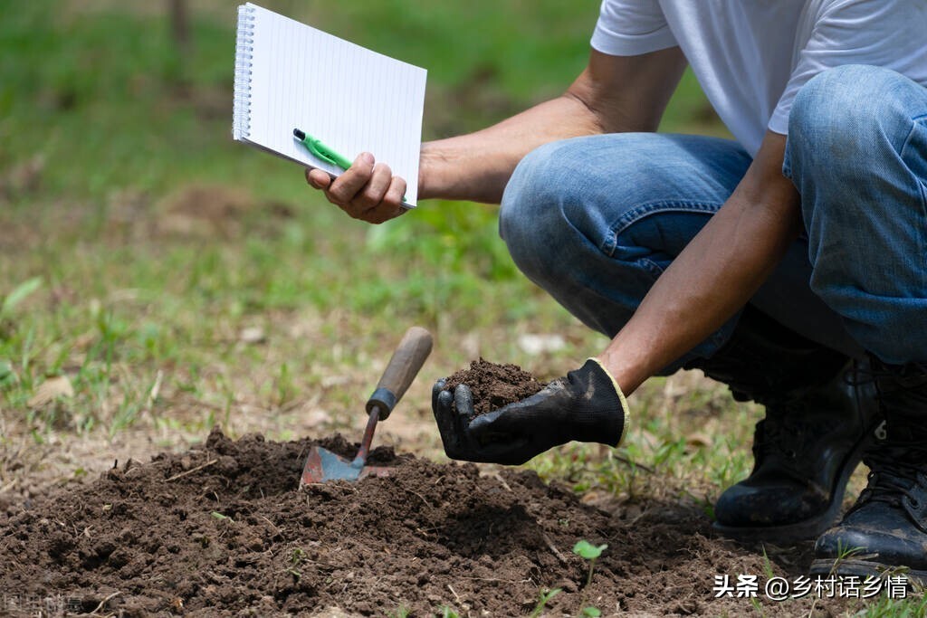 如果土壤没有蚯蚓有什么后果,土壤中蚯蚓越多越好是对吗