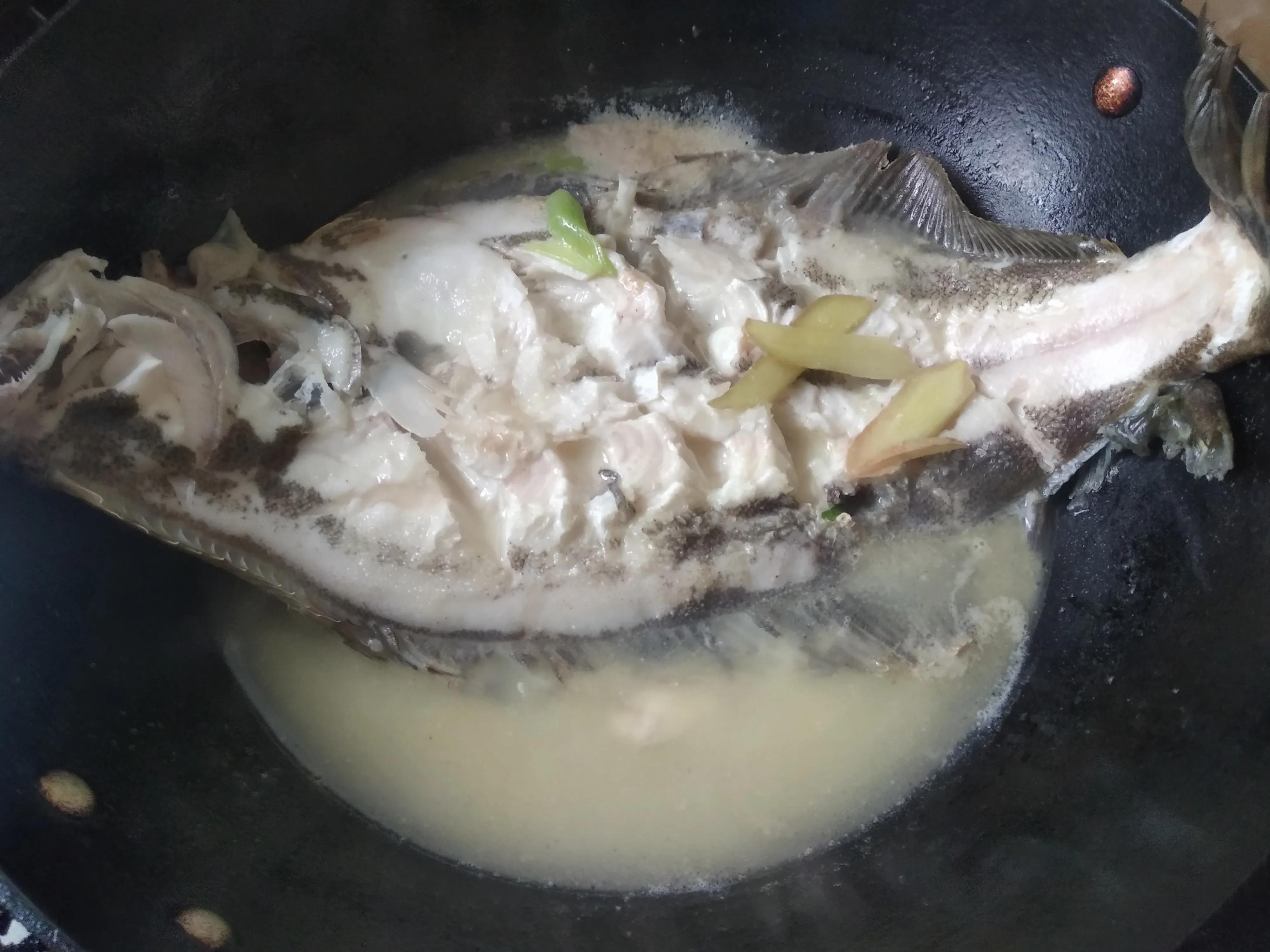 15种常见的海鱼,100种常见食用海鱼图谱