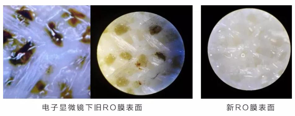 净热一体的净水器该怎么选?想实现喝水自由,还得看这几方面