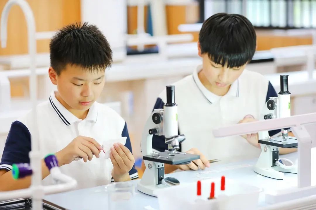 成都这所学校师资曝光,五朵私花、东辰等占半壁江山!剑指四七九