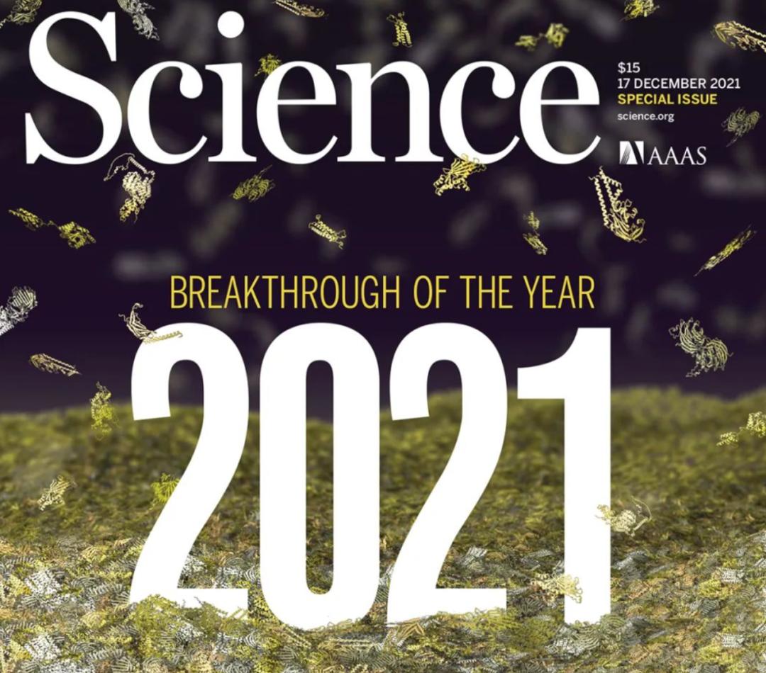 alphafold2,alphafold2.0技术细节