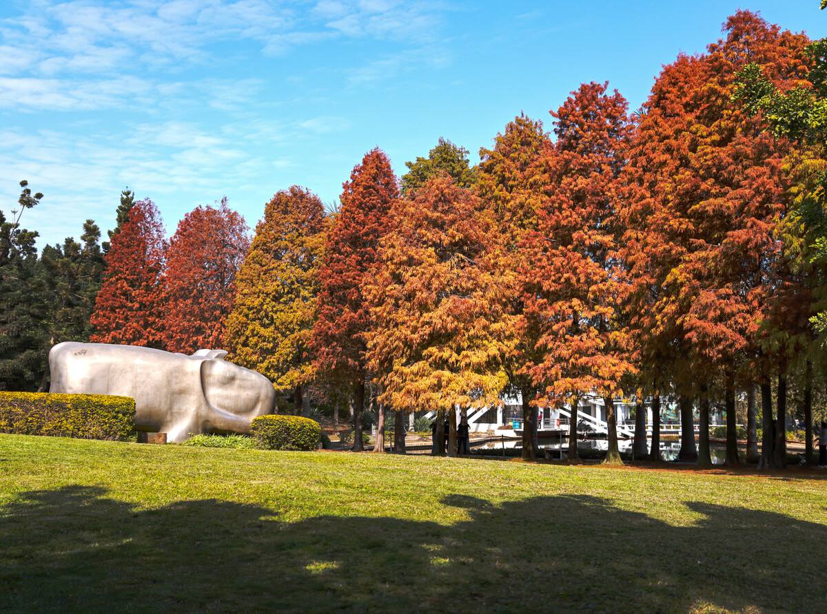 去厦门不要错过的地铁,厦门地铁哪一条适合旅游