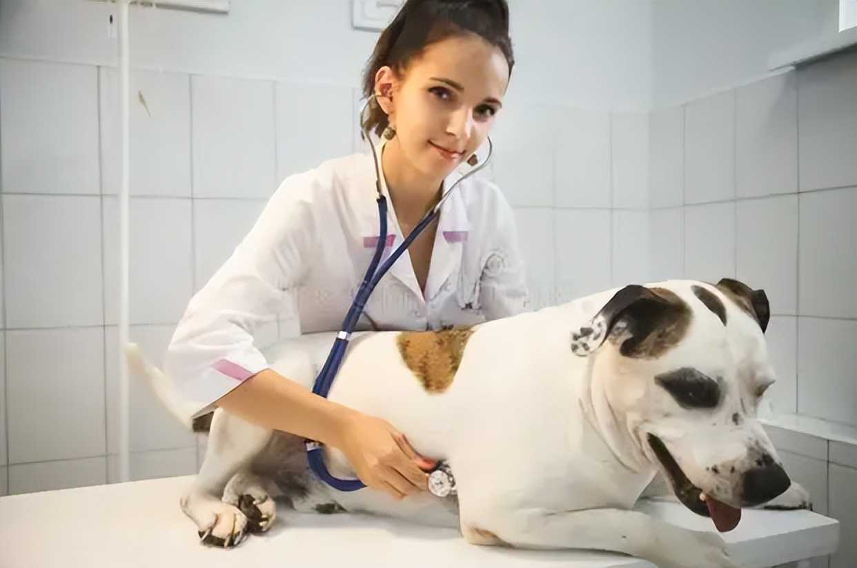 高考填报很热门的10大专业,高考填报最热门的十大专业是哪些