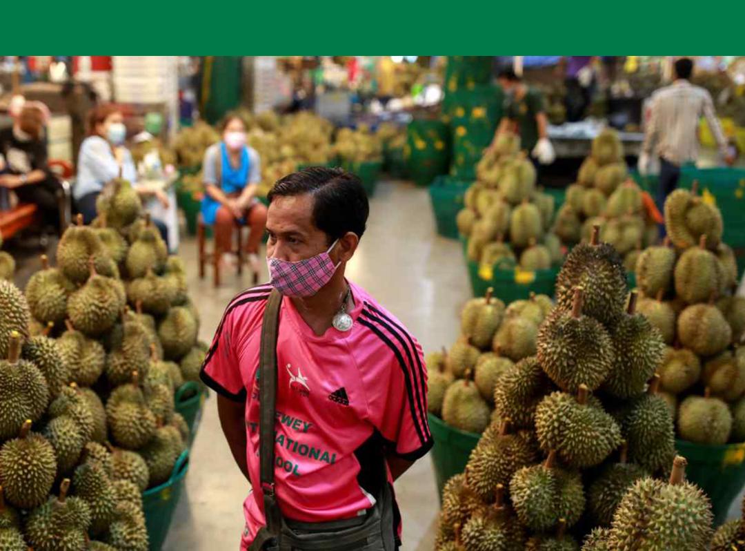 中国进口榴莲种植,中国市场所有榴莲都是进口的吗