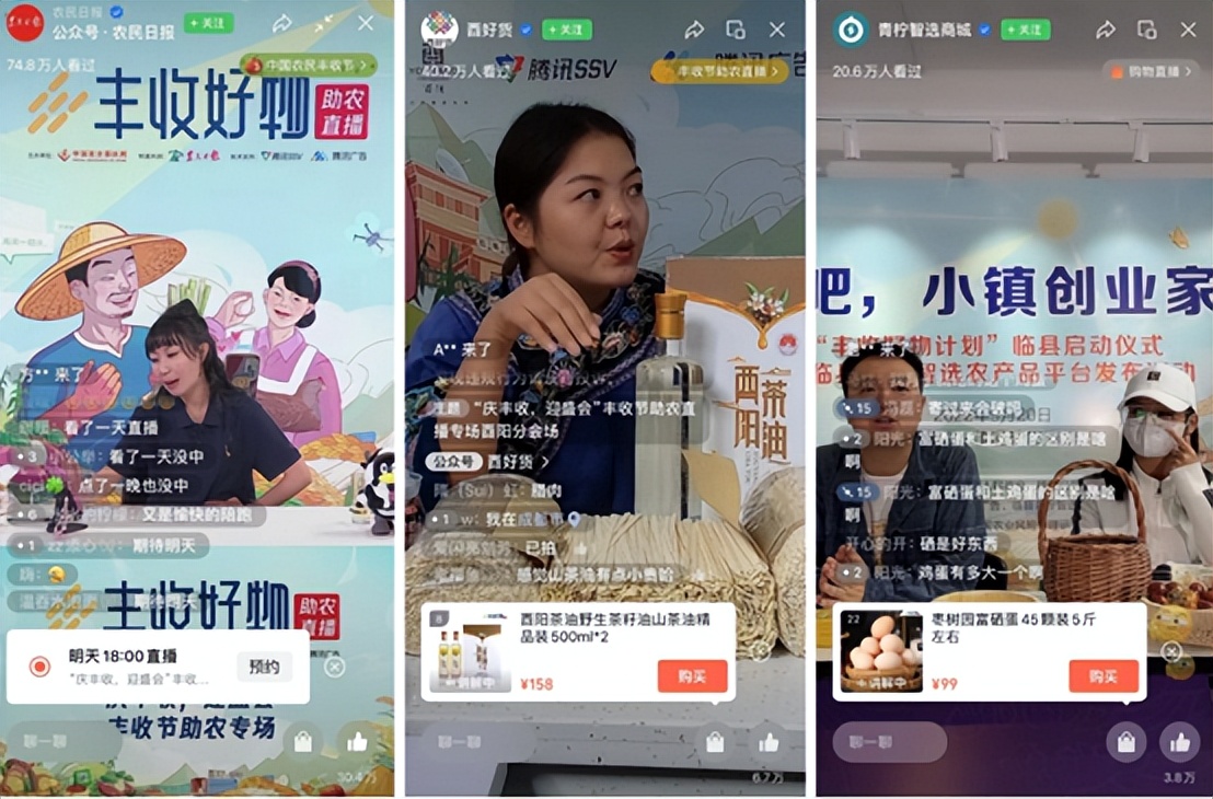 小镇创业传奇,小镇创业故事