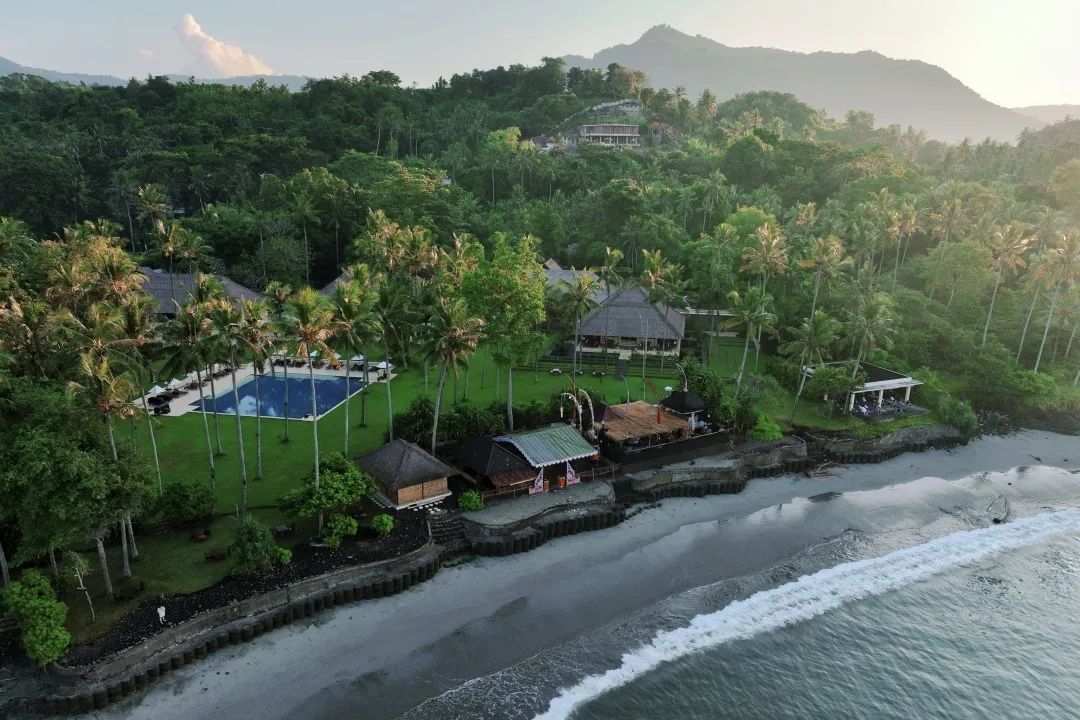 这可能是全球性价比最高的一家阿丽拉