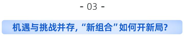 大地保险班子,大地保险公司20年庆
