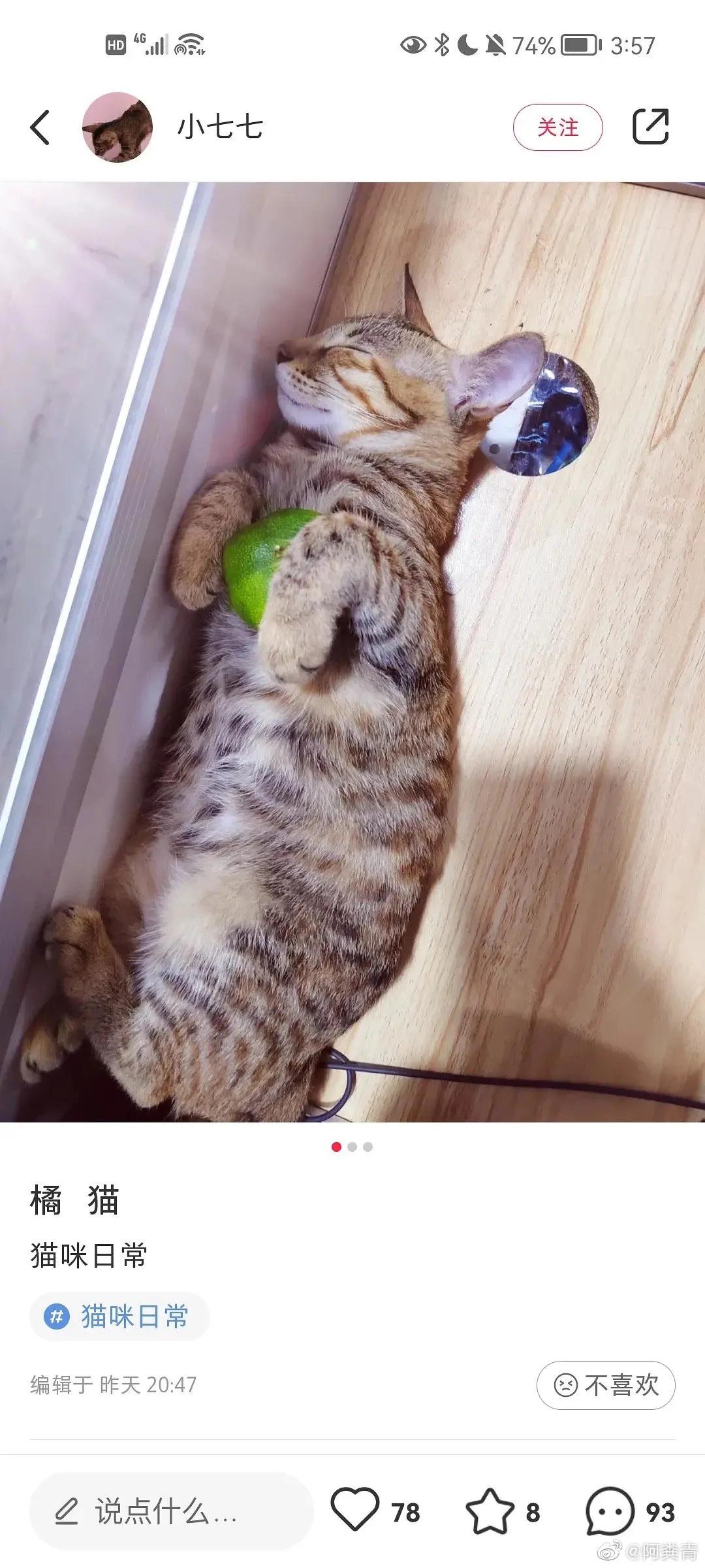 家庭监控下的一幕真实视频完整版,家庭监控下的真实一幕