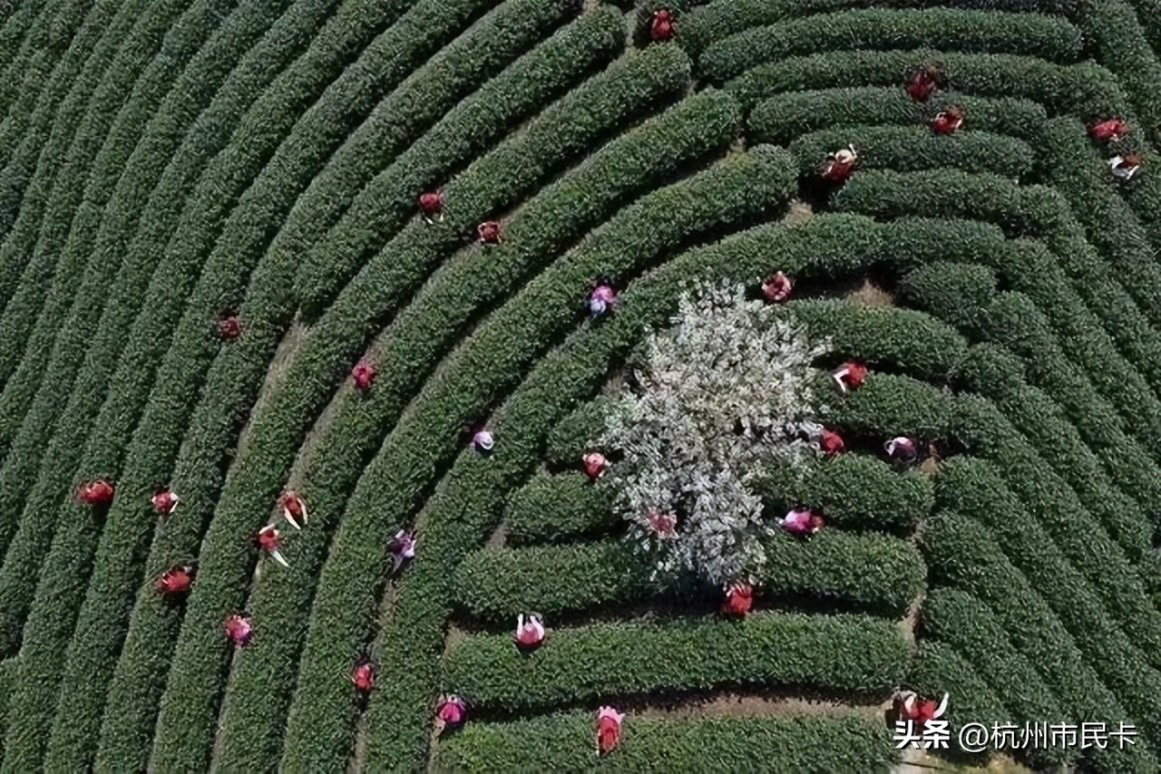 收藏！杭州新年超全玩法指南来了！2023快乐再出发！