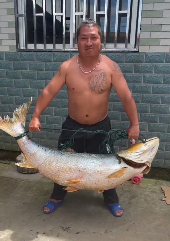 河里钓鱼鱼被咬了一半,钓鱼遇到被咬的鱼