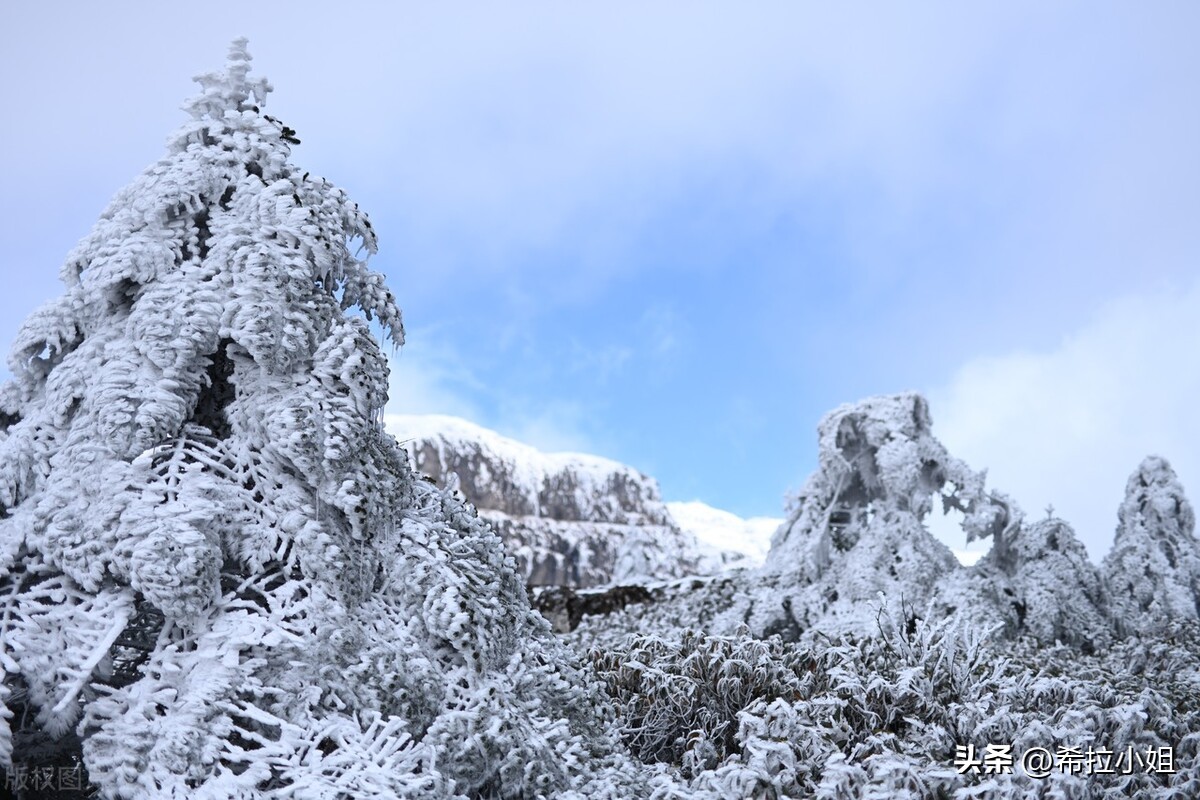 昆明机场周边有哪些旅游景点,元旦昆明周边有免费玩的景点吗