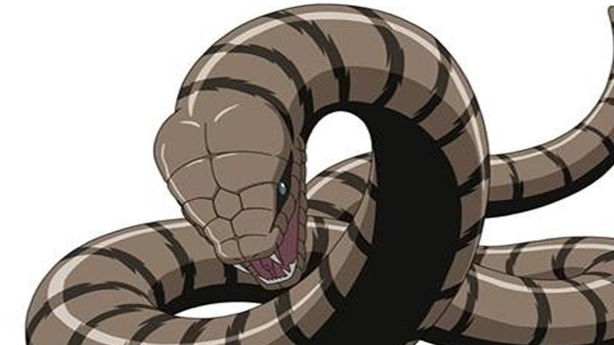 雌蛇有雄性生殖器吗,雌蛇是有性生殖吗