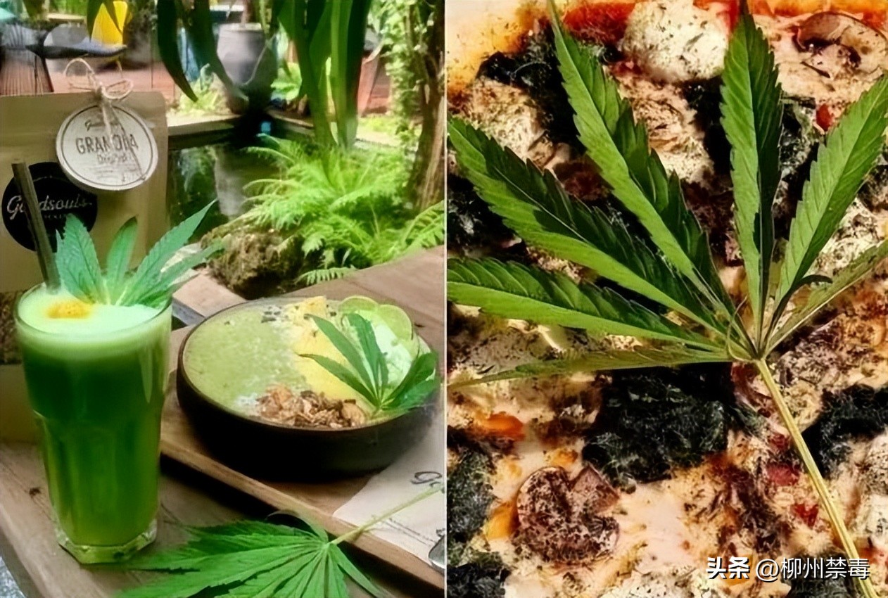 泰国*麻大**合法化以后，出国旅游留学怎样防止不慎染毒…...