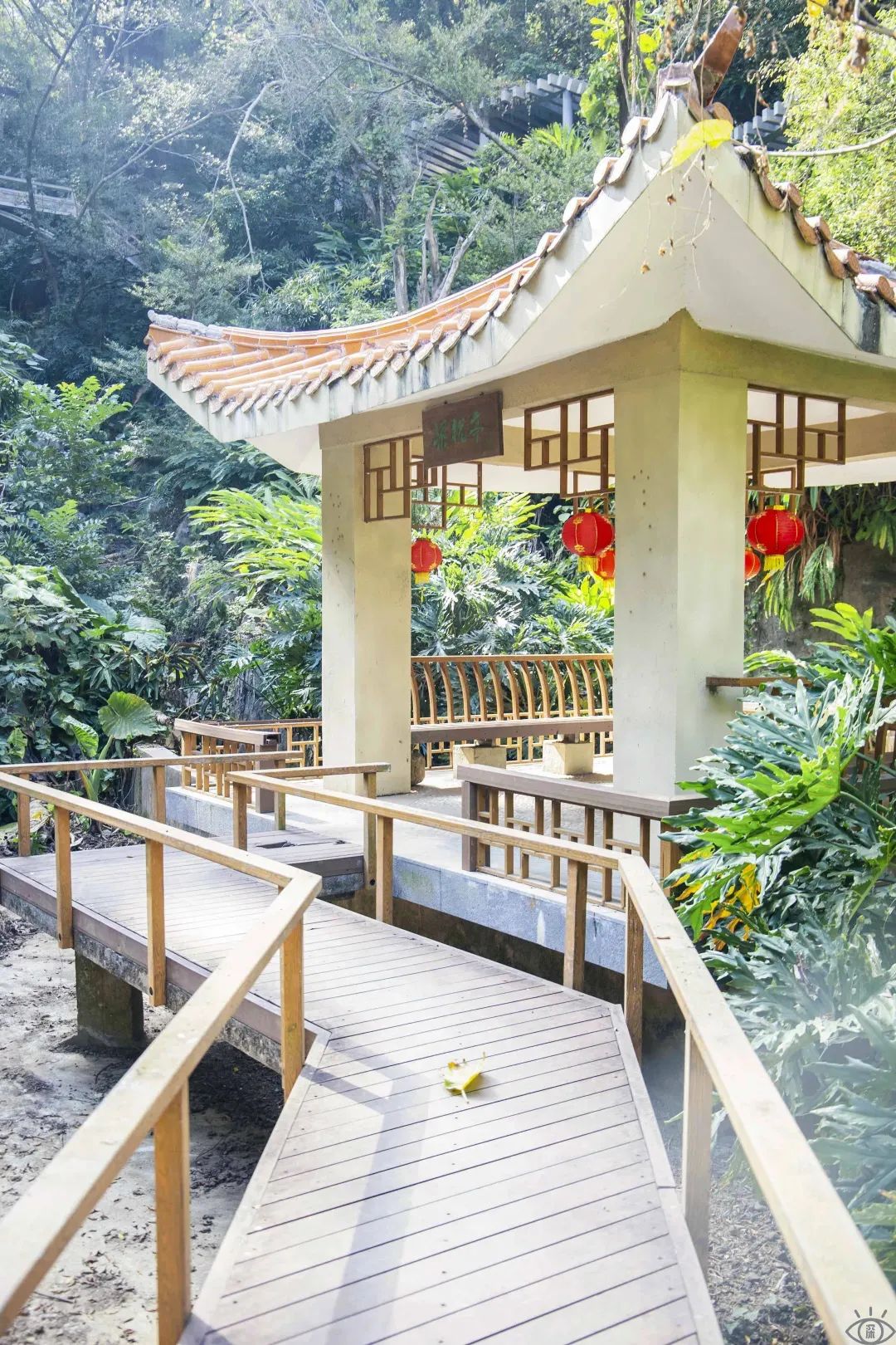 深圳免费露营的公园推荐,深圳22个露营公园