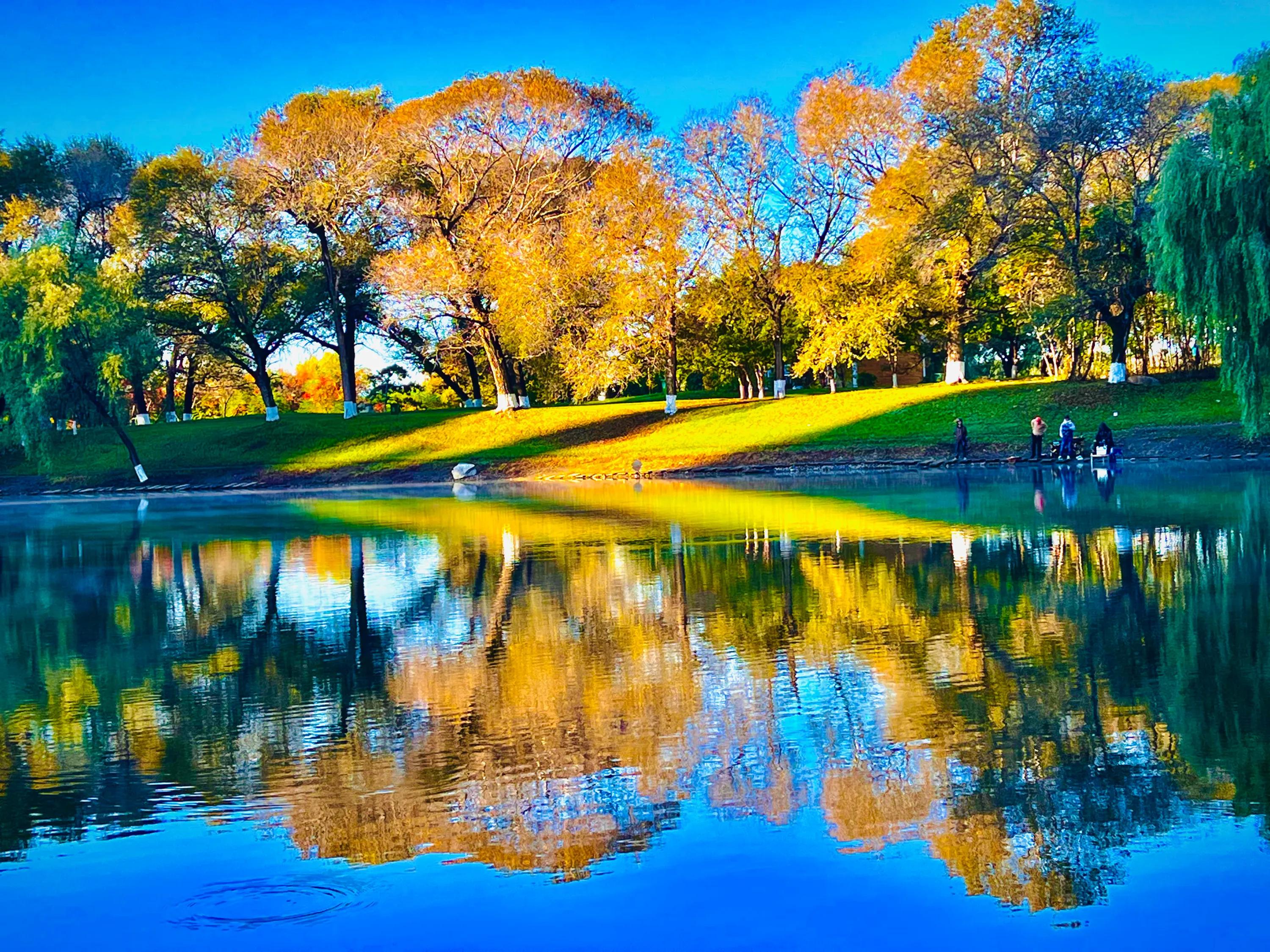 绉嬫按鏃犳仚姝岃瘝,绉嬫按鏃犳仚鍚庣画瀹岀粨